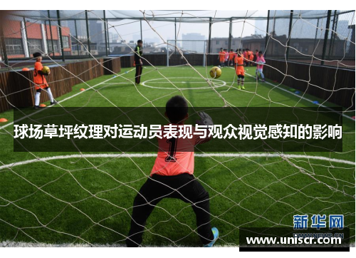 球场草坪纹理对运动员表现与观众视觉感知的影响
